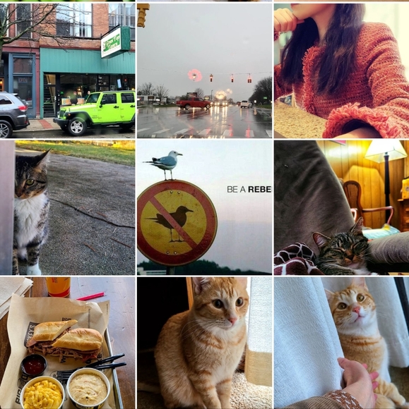 Meet your Posher, Cassi - Picture 5 of 16